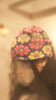 Ca4La Flowers3 Blue - OKURA