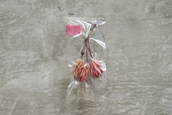 The Landscapers Plantaholic Diffuser Type A 01 Raspberry Reece - OKURA