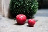 Detail Inc. Marble Apple Small Red - OKURA